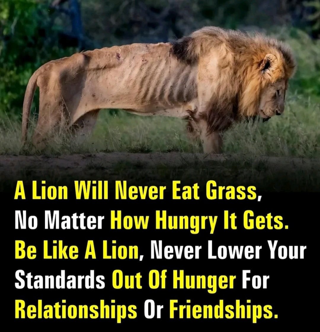 Don't lower your standards because you think that you desire something. True desire comes from mutual feeling or connection, not out of rush to fulfill someone else's needs. 